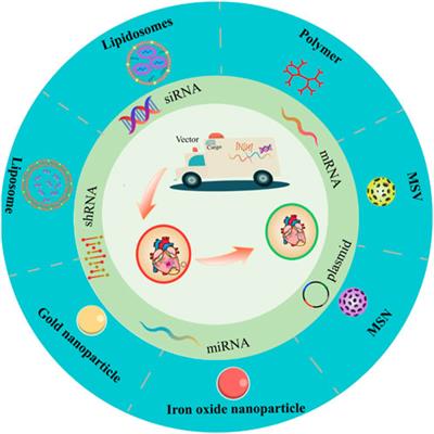 Nanotechnology-based non-viral vectors for gene delivery in cardiovascular diseases